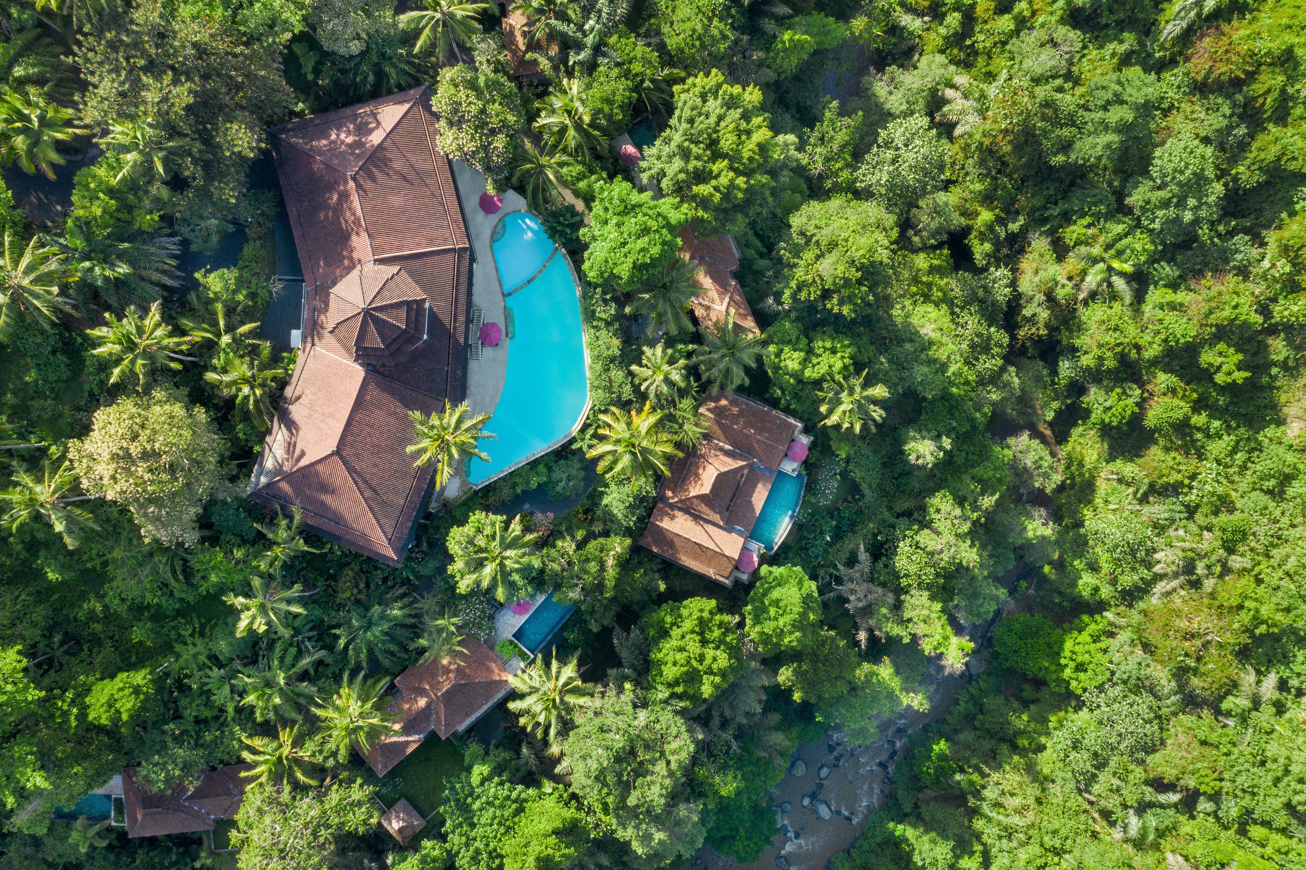 Ayung Resort Ubud Payangan Exteriör bild